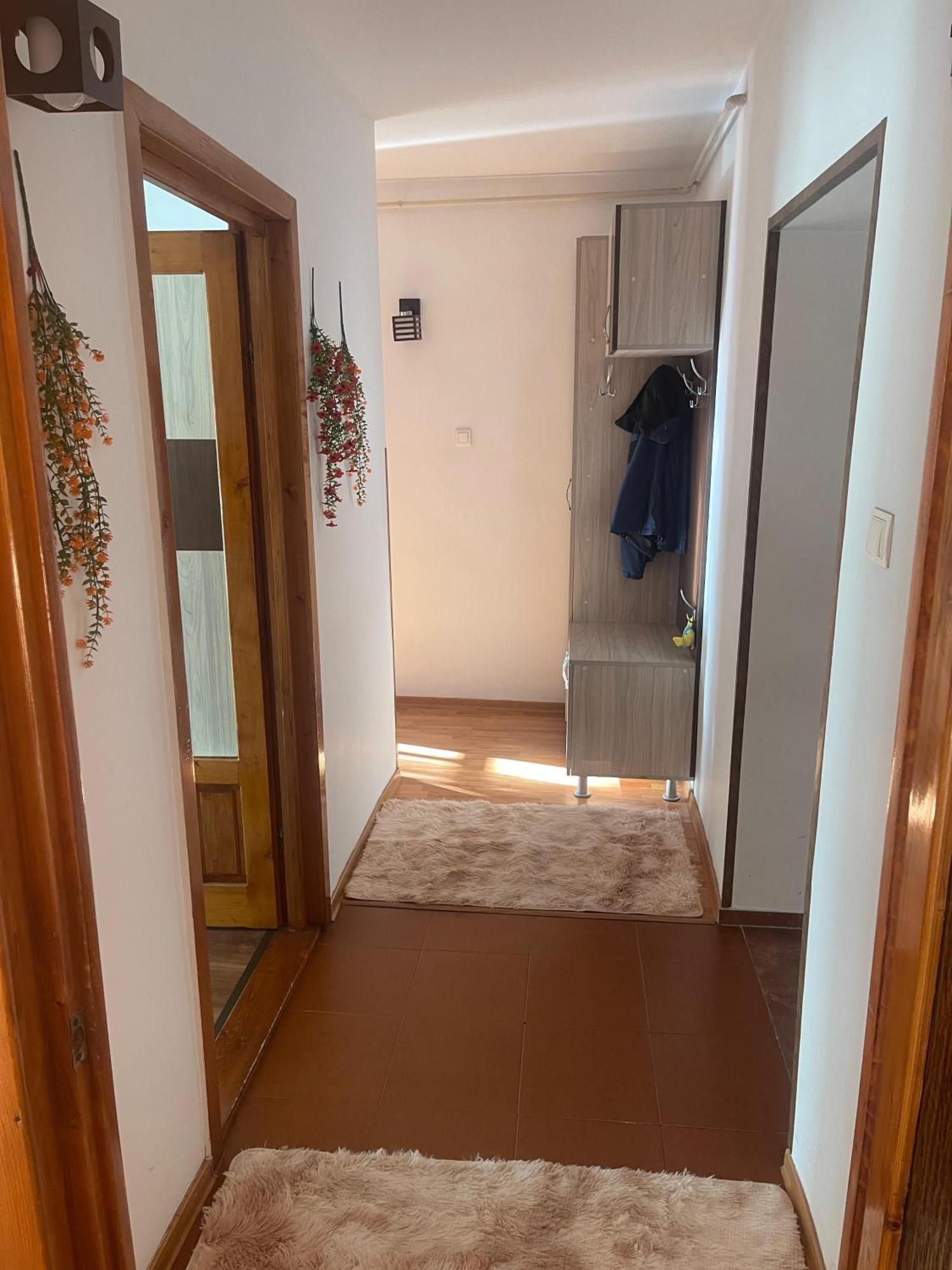 Apartament Gabriela Vulcan  Buitenkant foto